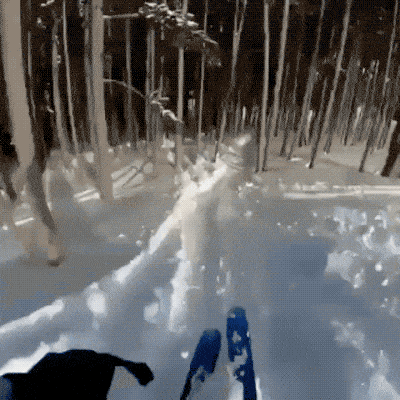 照片|15张隔着屏都感觉疼的照片，斗牛那个人，你以为隔着栅栏就安全么