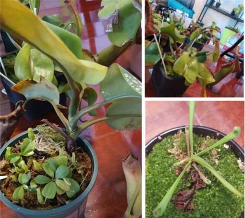 霸刷|13岁学霸刷了老爸9万块,不充值游戏也没打赏,结局让人笑哭