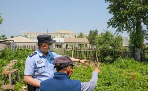 销毁|佳木斯民警销毁16株罂粟花