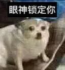 微信|潮州38岁许某鹏盗六旬老人钱财，手法真的太……