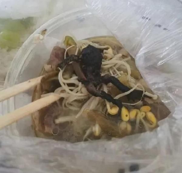 女子|浙江女子点外卖,在酸汤肥牛中吃出“癞蛤蟆”,店家:外卖员放的