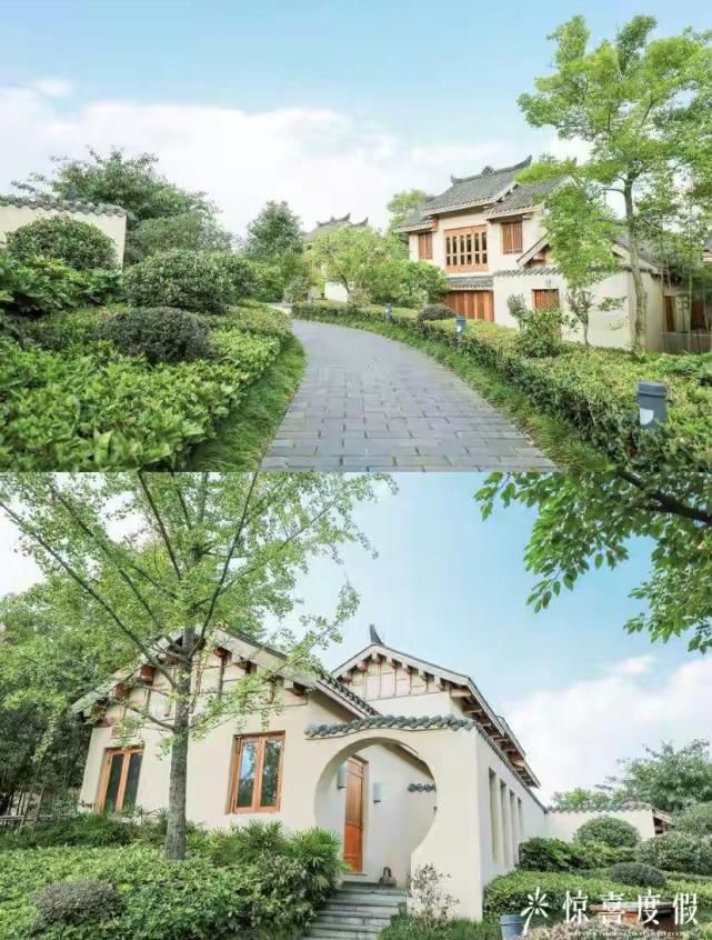  有山有水|成都周边亲子游必选｜全国仅此一家的青城山六善，有山有水有熊猫