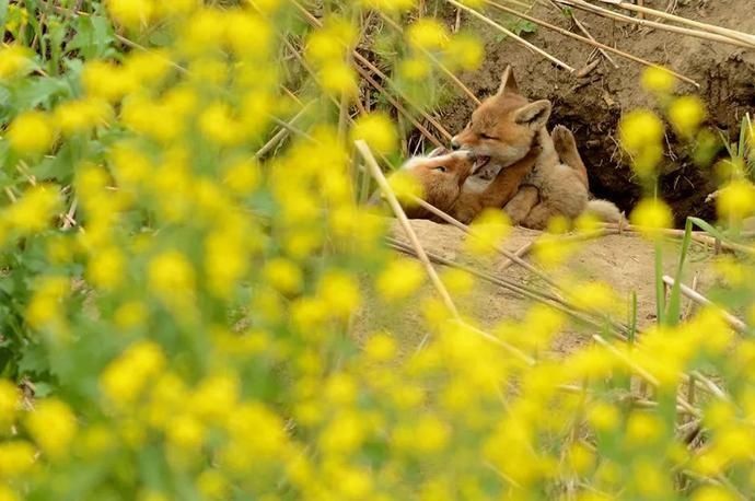  赛级|赛级摄影作品讲述的也不过是不同的生活罢了