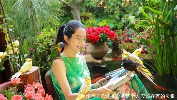  秦岚|秦岚子宫不用被怼，全职妈妈风险高危，这一届女性不好做