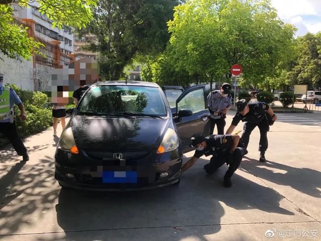 发生|高考新闻年年新鲜年年有趣,今年高考发生什么?网友:蛇都趁热闹