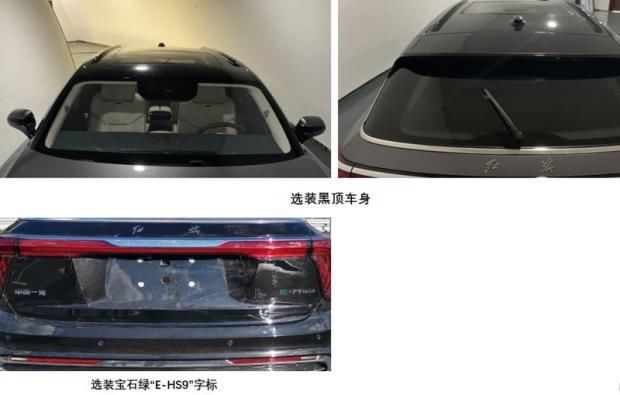  设计|定位纯电动大型SUV 红旗E-HS9申报图