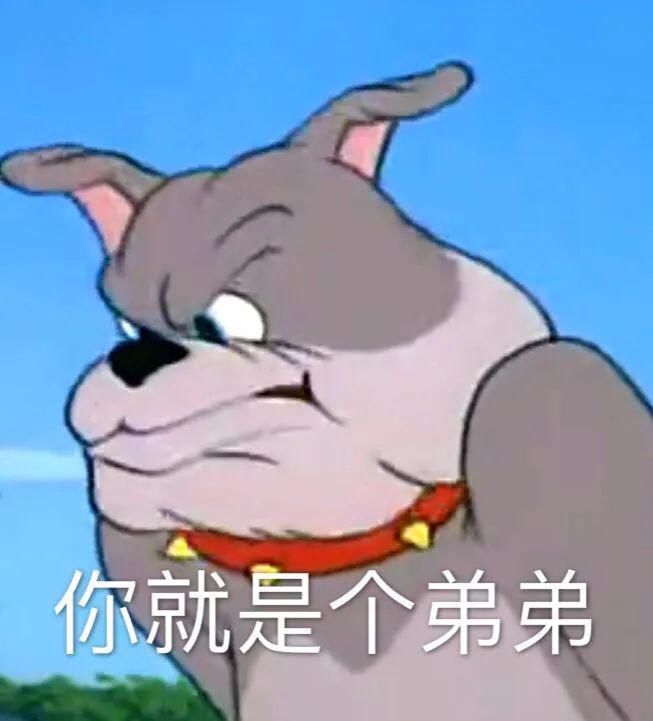  世界|啊，谁是世界上最蠢的贼？