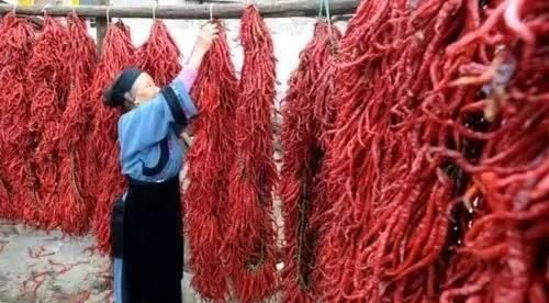 海南岛|我国“不会吃辣”的3座城市,看见就害怕,第3还是辣椒的盛产地