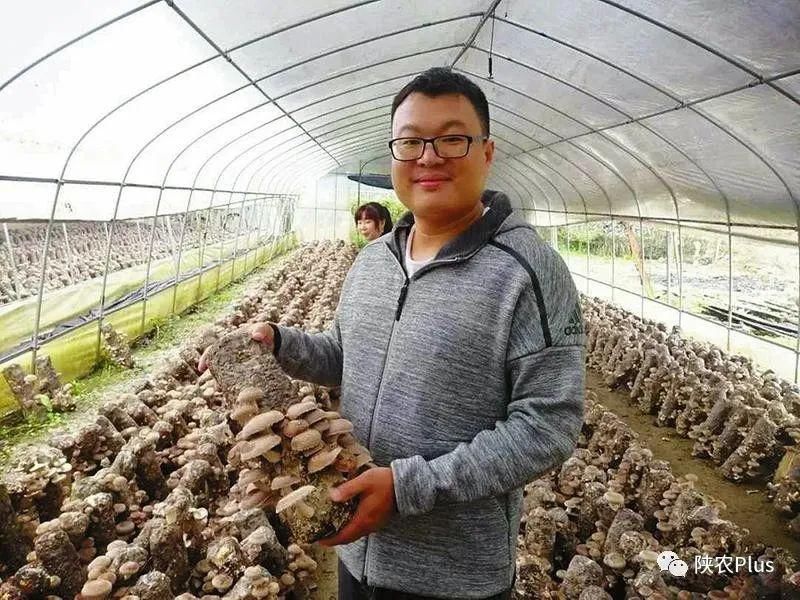 多亏|“多亏了第一书记程一博”