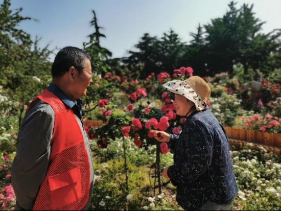 临沂市园林环卫中心开展“银发力量·景上添花”主题党日活动