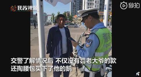 老人|7旬老人卖鹅违章交警全部买下