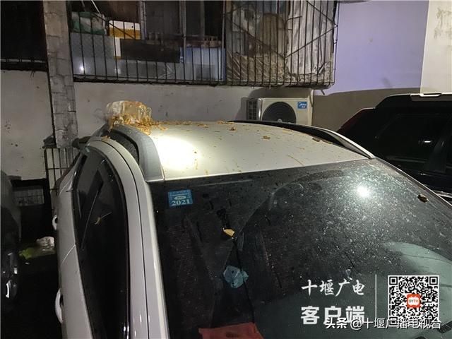  恶心|恶心！十堰一小区夜间突传恶臭，竟是垃圾“从天而降”