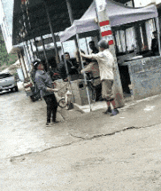 爸妈|搞笑GIF:爸妈才是真爱,我只是个小小的意外!