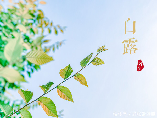 白露将至宜滋阴润肺防秋燥(“白露到，祛秋燥”！建议多吃4白，润肺清燥乐过秋)