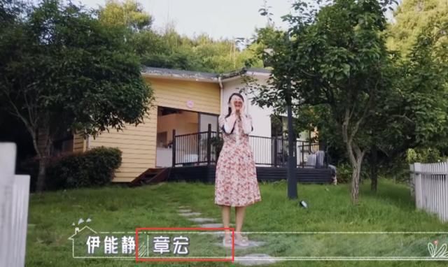  全职|伊能静参加很多综艺节目，为什么当过全职妈妈的女人会疯狂工作