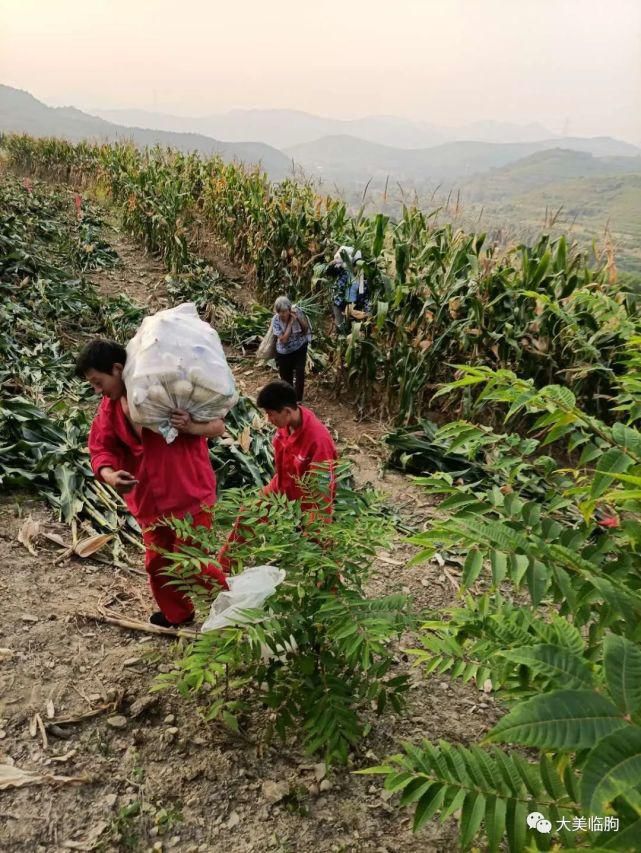 乡村|临朐、乡村、美食、熟悉的画面
