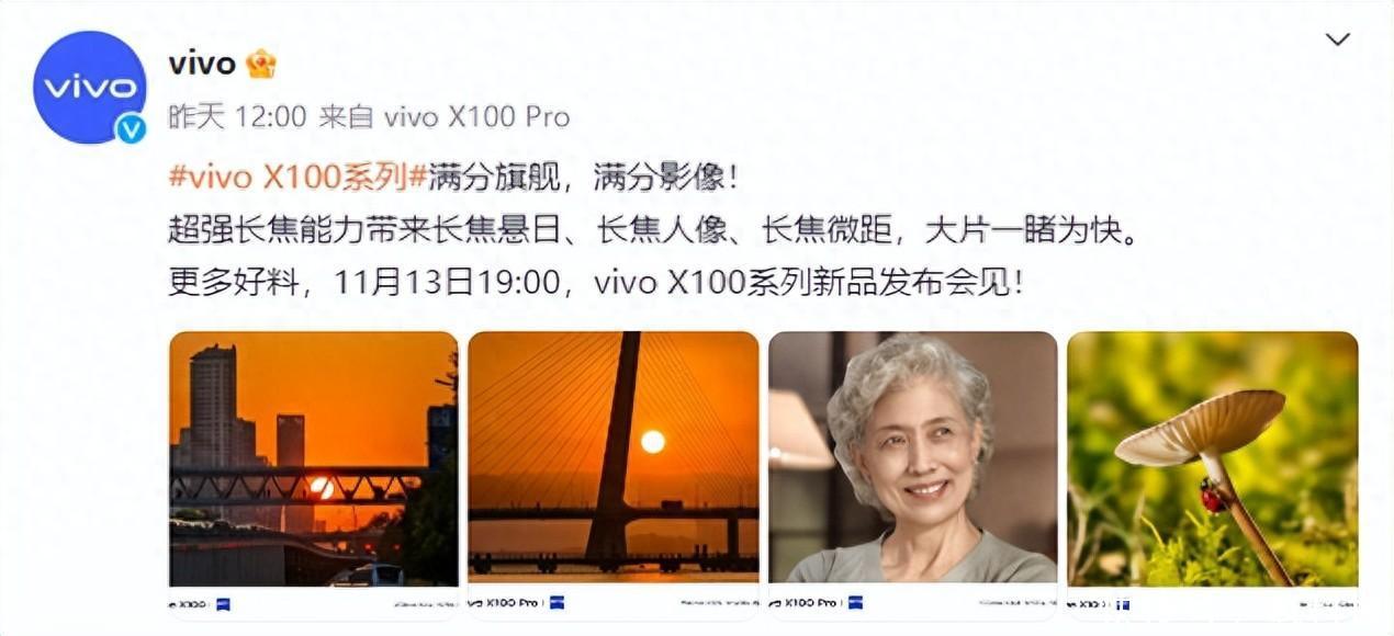 vivo X100系列将携自研V3影像芯亮相，长焦样张一览