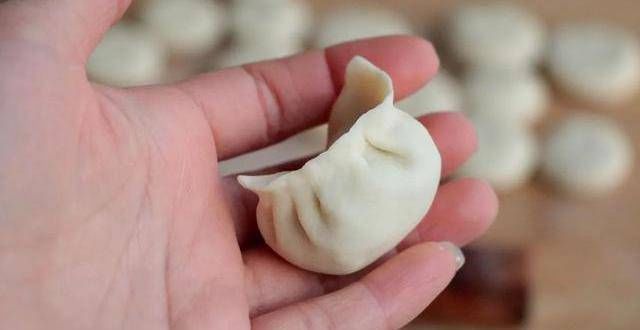 鲜美|冬至用这两种食材做饺子肉馅儿,清热降压又安神,吃着鲜美无比!