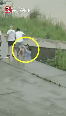 民警|流浪狗妈妈不顾民警阻拦，洪水中游百米救子，结局太催泪