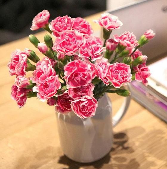  生肖|母亲是这2大生肖的，生儿是人才，生女是栋梁，家门人丁旺