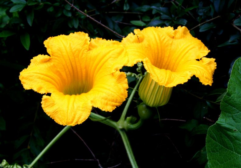  孩子|最有“儿女福”的三个生肖女，孩子个个有出息还孝顺，超乎想象