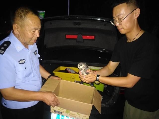  受伤|警民联手救助受伤猎隼