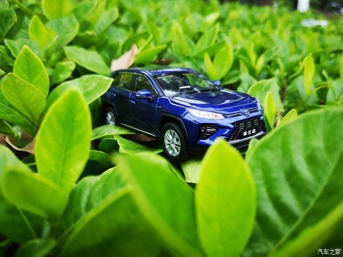 拍摄|拥有威兰达车模,绽放花丛中,说说感受