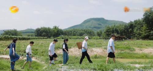  未熟|《向往4》许光汉摘掉未熟西瓜，节目组打出14字救场？难怪没被骂！