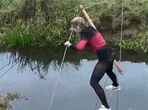 GIF|搞笑GIF：哥们，你这是在用鸽子做导航吗？想象力真丰富