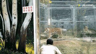 家长|这些家长带娃被登报批评！快看看你是否也干过？