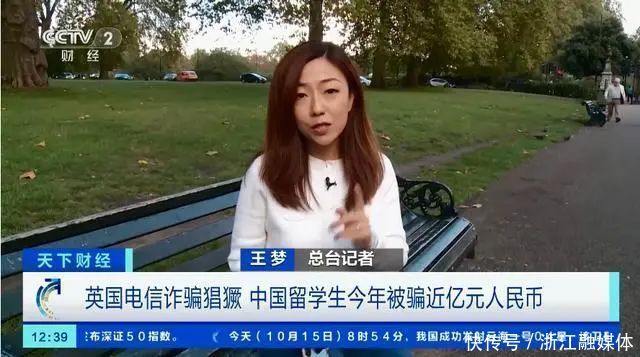 英国有电信诈骗吗(被电信诈骗的英国人)