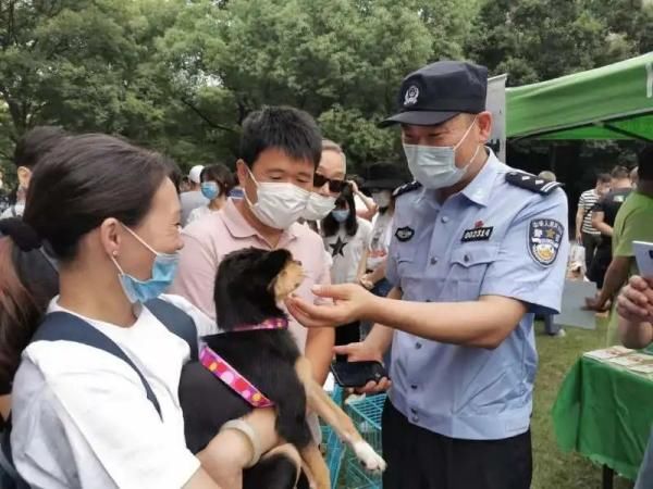 犬行为|@所有上海人：养狗无证、不牵绳、不带嘴套……罚！