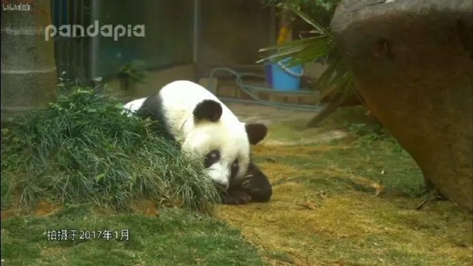 故事|出彩“滚滚” | 你有你的“三十而已”,我们的三十又是另一个故事~