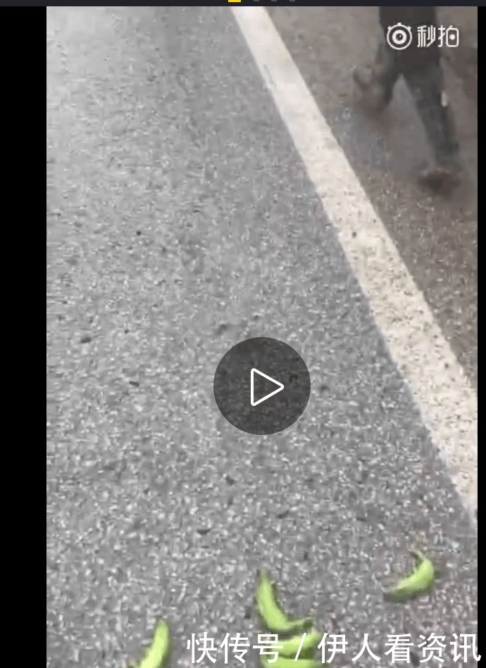 头条|热搜头条 “东北人”偷香蕉 网友们炸开了锅
