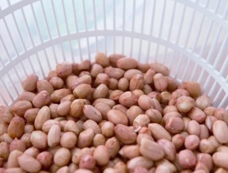  红豆汤的做|入中伏，分享一道红豆汤，祛湿更滋补，5块钱煮一锅，比绿豆汤好