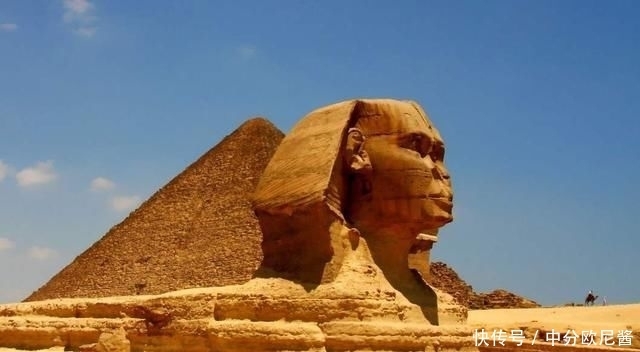  小号阿七|伍六七第三季：大号柒不会登场了？阿七实力提升，代替了大号！