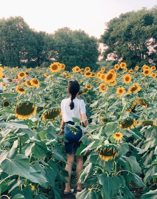 农家乐|阳澄湖吃蟹哪家好 阳澄湖农家乐吃蟹旅游经历
