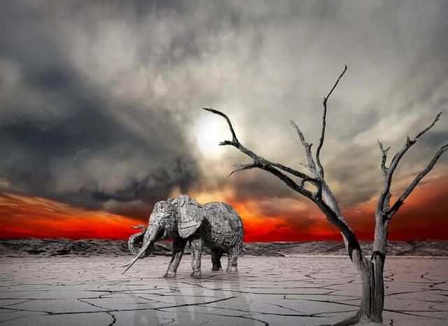  如今|银联迟暮：当年看不起马云，如今市值不足蚂蚁十分之一