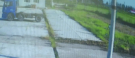  发狂|吓人！1200斤大黄牛宰杀前一秒发狂…狙击枪都用上了