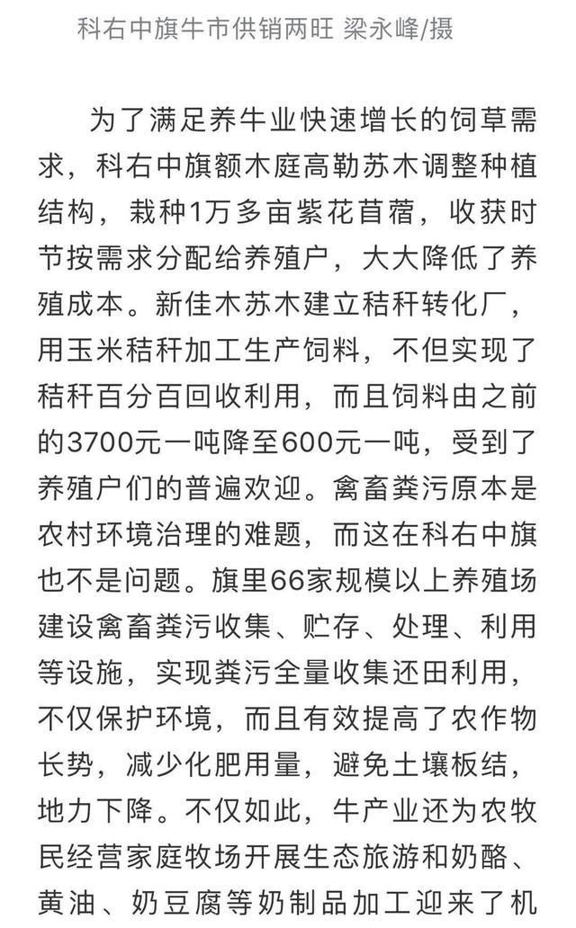 牛鼻子|抓住“牛鼻子”,过上好日子