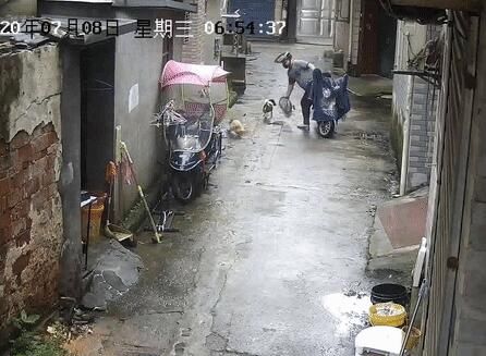  民警|光天化日，萧山一男子用网兜把宠物狗偷走！还有“奇葩”到偷这个的……