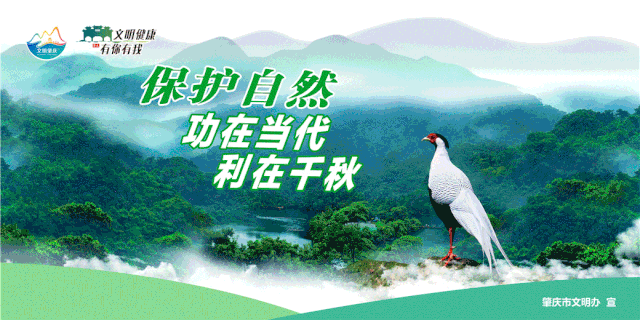  尊严|国家尊严不可侮辱，切勿以身试法！