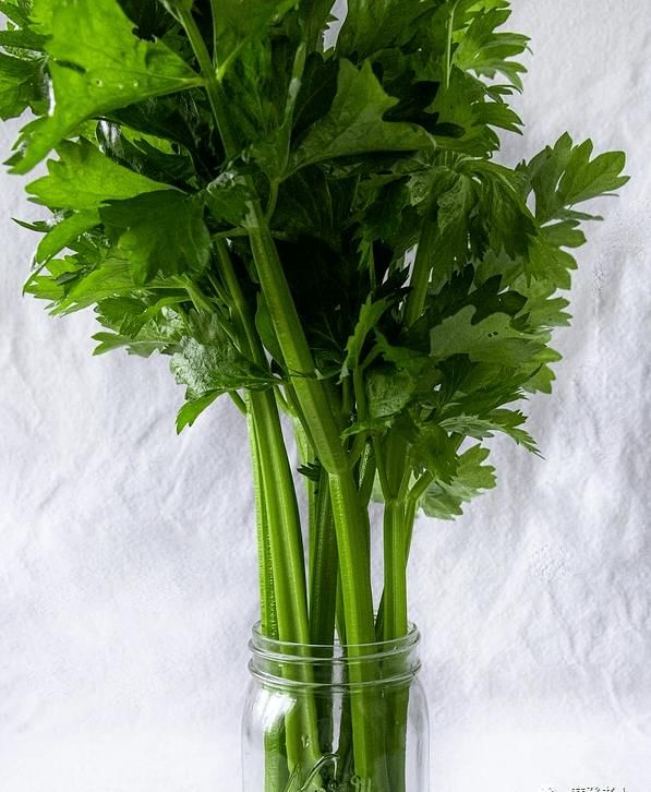  从不|菜农从不外说的15个挑菜技巧，买菜再也不怕被坑了