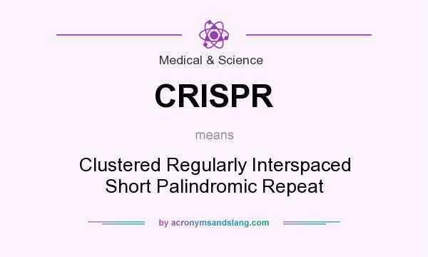 诺贝尔化学奖|2020年诺贝尔化学奖：基因编辑
