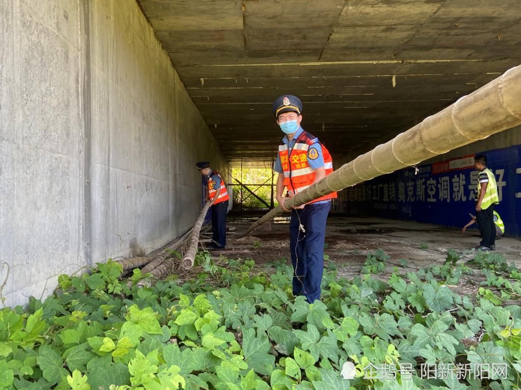  武黄|武黄支队第三大队：桥涵清理再行动 安全“堤坝”建心中