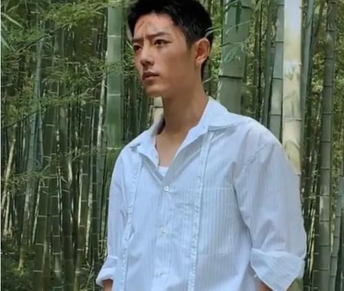  竹子|肖战竹林大片花絮曝光，原来和竹子相关的他，也有个梦想和希望