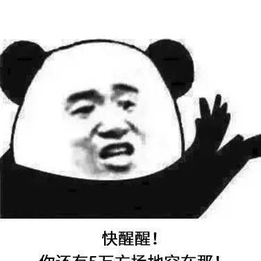  潜台词|当别人在群里拍了拍你