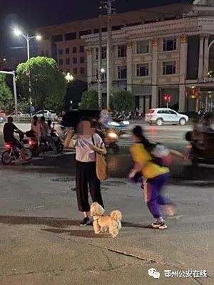 文明城市|文明城市创建：别让自己和喜爱的狗狗成为不文明......