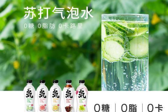  乐团成员|为什么苏打气泡水百搭首选，只有元气森林？