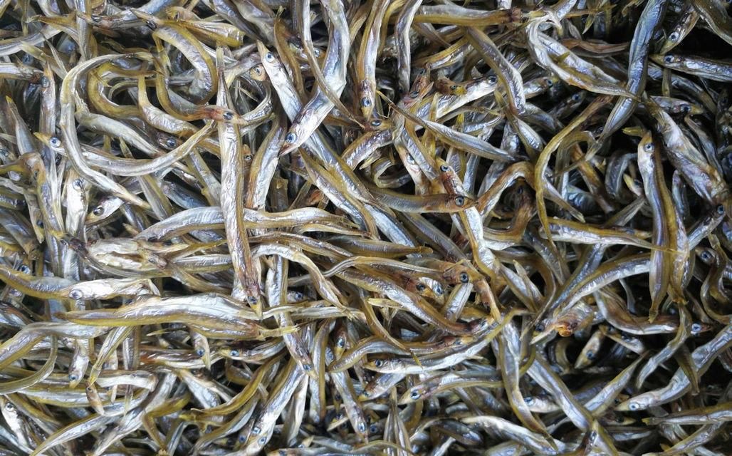 海鲜|酒店带鱼268一斤,菜市场便宜只要15,梭子蟹长大点50一斤